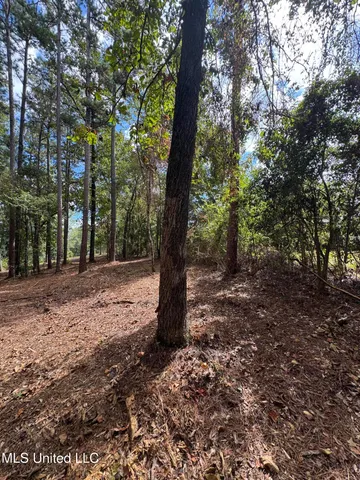 $74,500 | Baracuda Drive, Hattiesburg, MS 39402