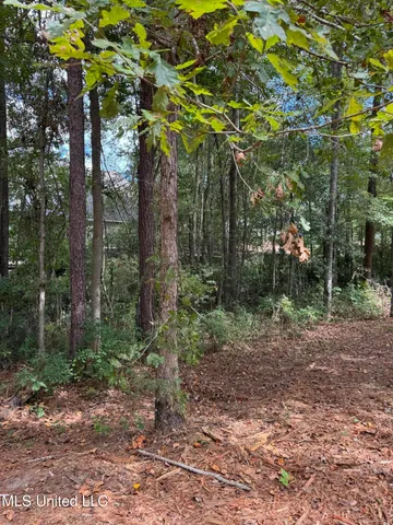 $74,500 | Baracuda Drive, Hattiesburg, MS 39402