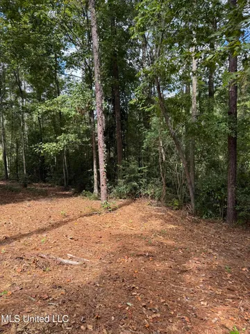 $74,500 | Baracuda Drive, Hattiesburg, MS 39402