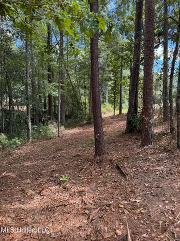 $74,500 | Baracuda Drive, Hattiesburg, MS 39402