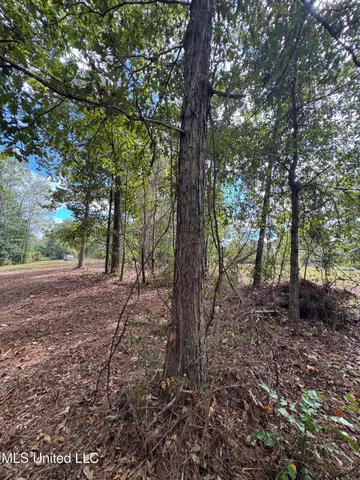 $74,500 | Baracuda Drive, Hattiesburg, MS 39402