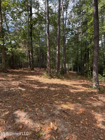 $74,500 | Baracuda Drive, Hattiesburg, MS 39402