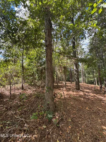 $74,500 | Baracuda Drive, Hattiesburg, MS 39402