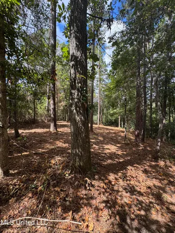 $74,500 | Baracuda Drive, Hattiesburg, MS 39402