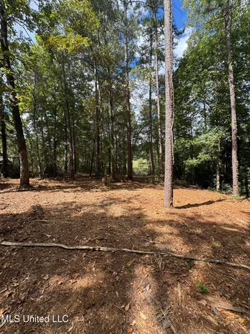 $74,500 | Baracuda Drive, Hattiesburg, MS 39402