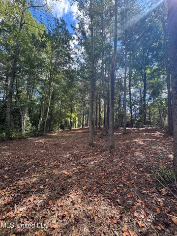 $74,500 | Baracuda Drive, Hattiesburg, MS 39402