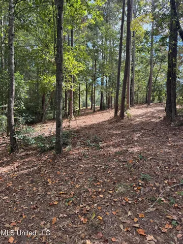 $74,500 | Baracuda Drive, Hattiesburg, MS 39402