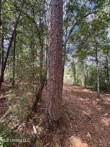 $74,500 | Baracuda Drive, Hattiesburg, MS 39402