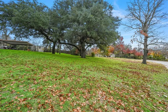 a view of a field with large trees