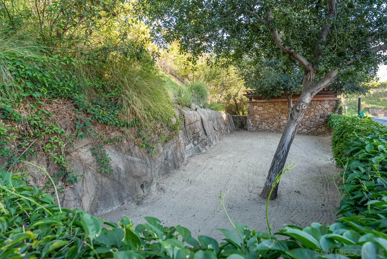 1113 Calabria Street Santee, CA 92071 - Photo 18 of 31 a view of a yard with plants and trees