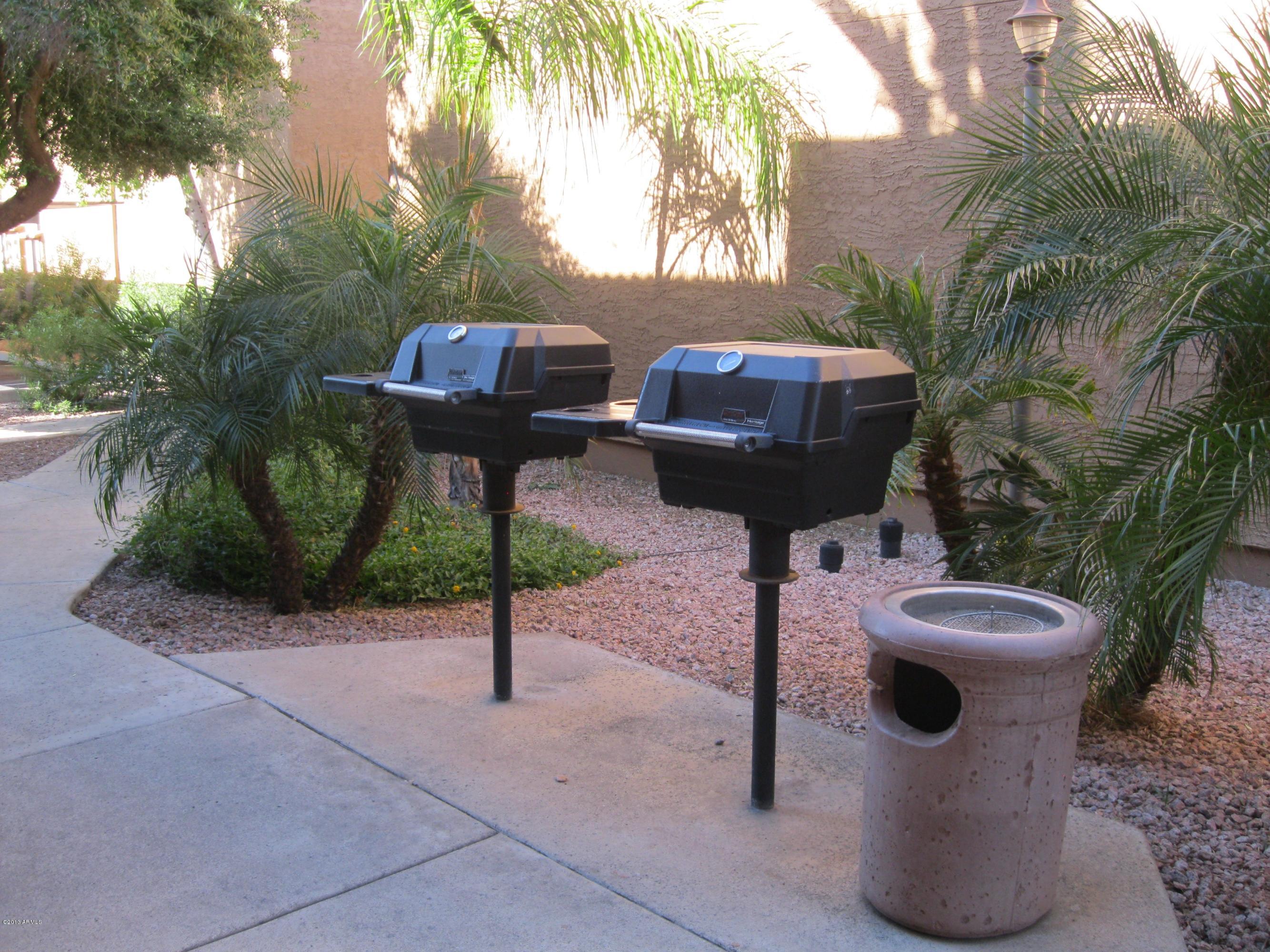 2625 East Indian School Road, Unit 229 Phoenix, AZ 85016 - Photo 9 of 11 a view of a backyard with plants