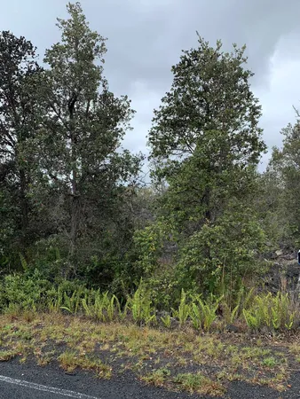 $29,900 | 20 Hawaii Boulevard, Ocean View, HI 96704