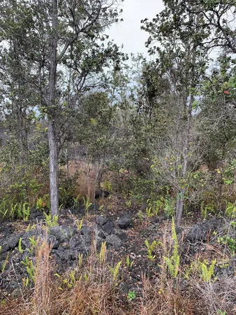 $29,900 | 20 Hawaii Boulevard, Ocean View, HI 96704