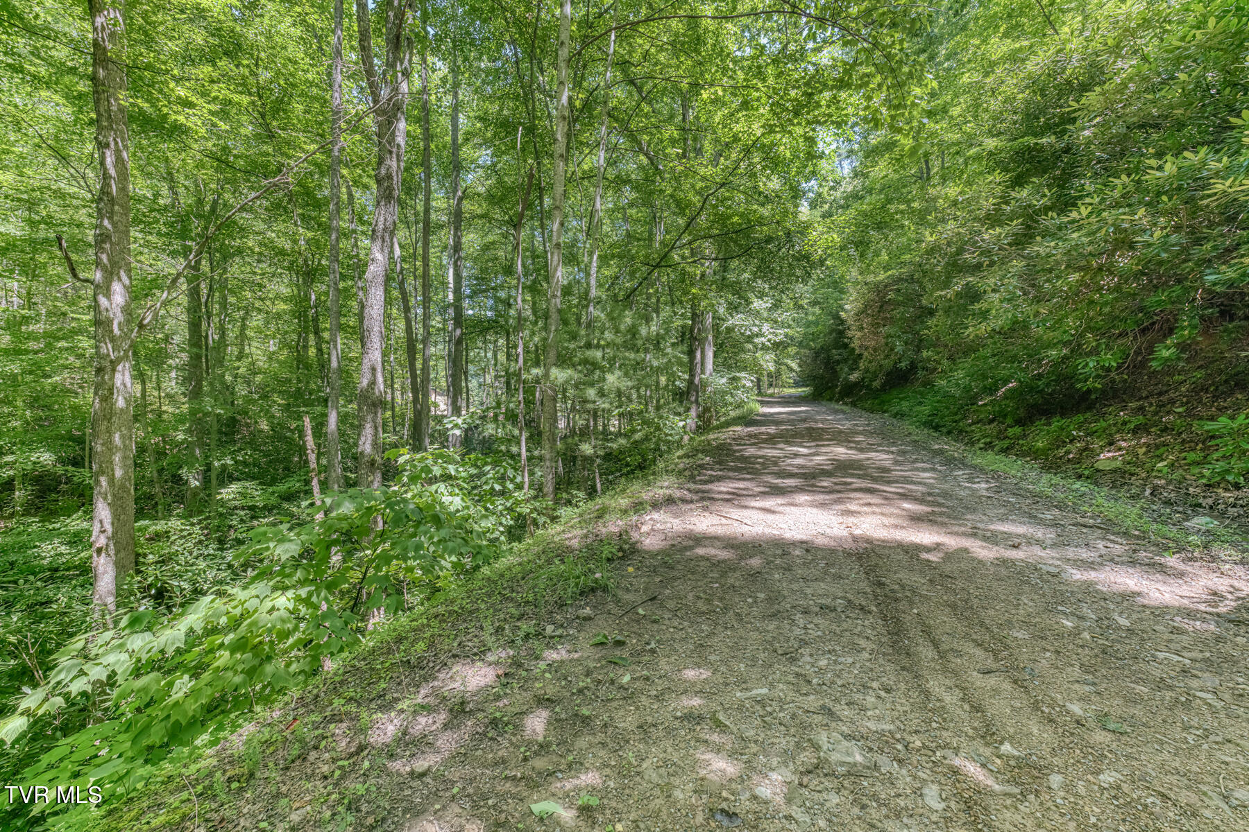 Tbd Bailey Hollow Road, Unit 4 Erwin, TN 37650 - Photo 22 of 49 TBD Bailey Hollow Rd-24