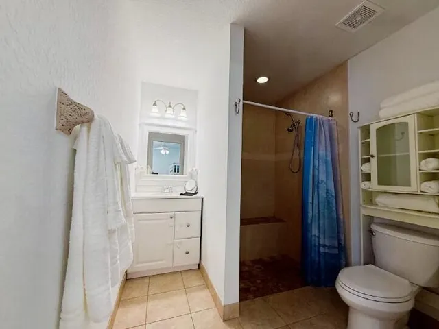 a bathroom with a shower a sink and a toilet