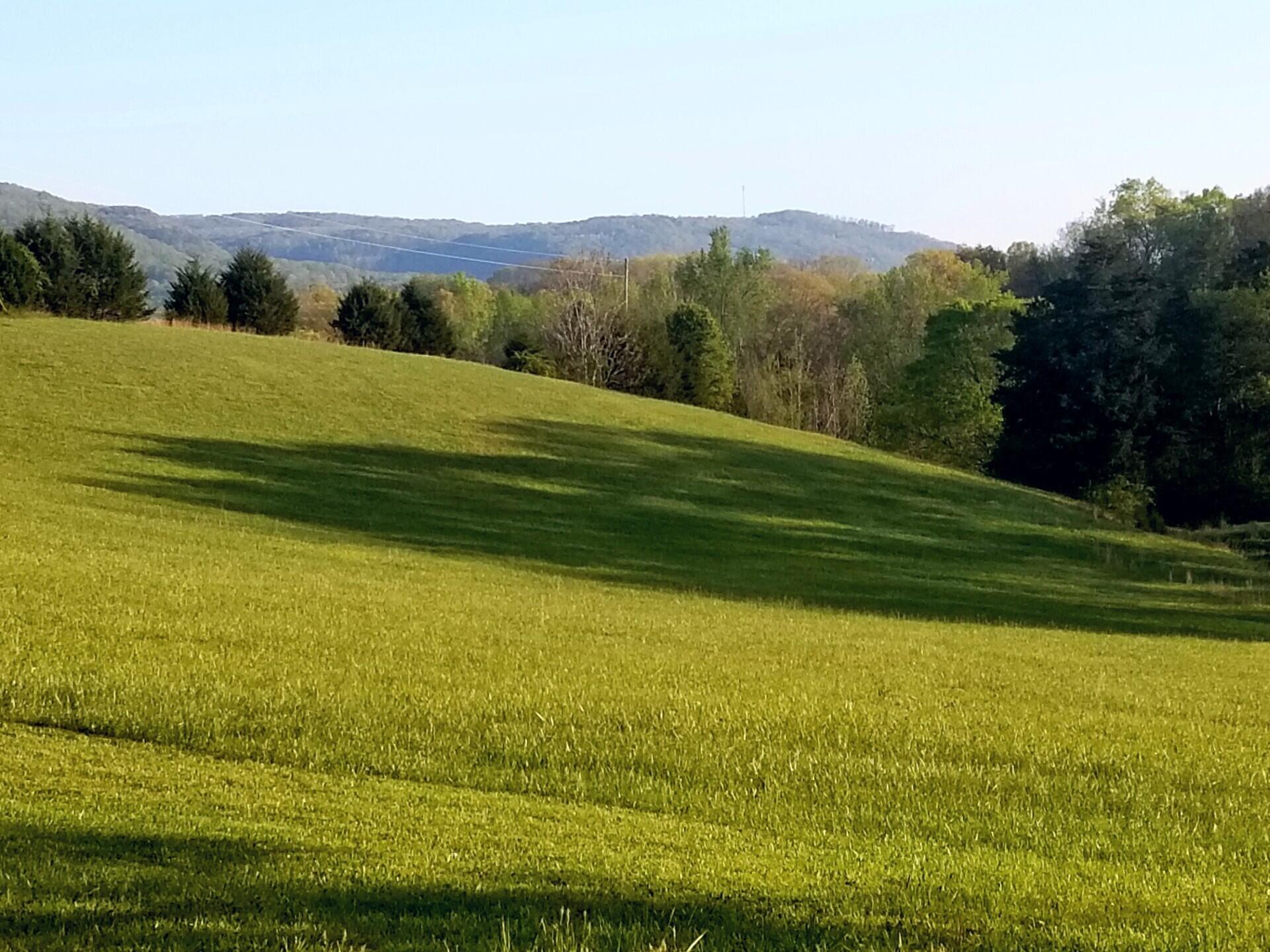 0 John Burch Road West, Unit A Dunlap, TN 37327 - Photo 20 of 29 14. Pasture