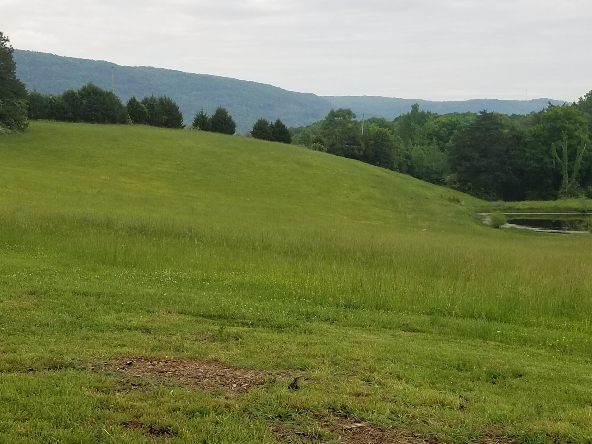 0 John Burch Road West, Unit A Dunlap, TN 37327 - Photo 21 of 29 15. Pasture with pond