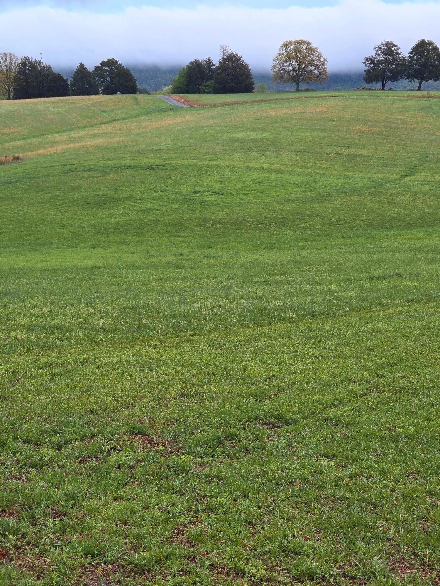 0 John Burch Road West, Unit A Dunlap, TN 37327 - Photo 10 of 29 7. Pasture