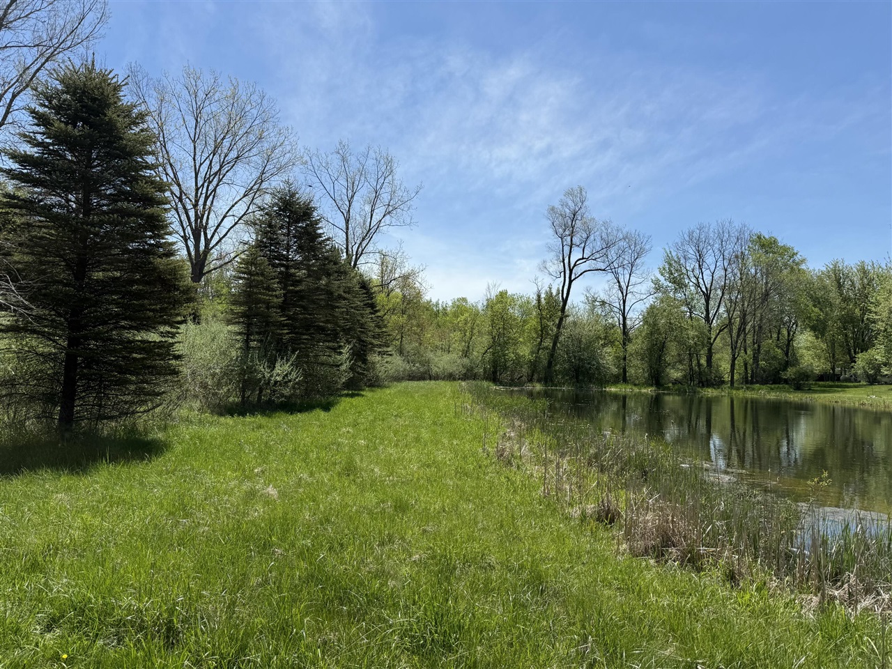 V/l Mcbride Road Stanton, MI 48888 - Photo 2 of 8