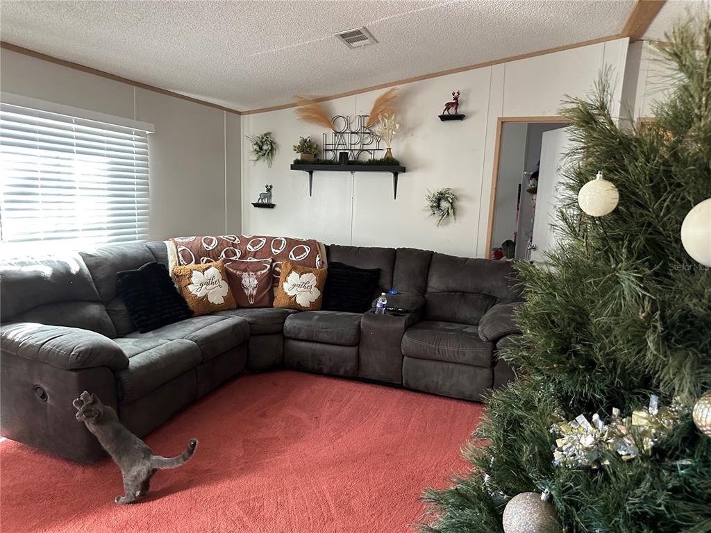 640 Southeast 10th Street Williston, FL 32696 - Photo 2 of 13 a living room with furniture and a window