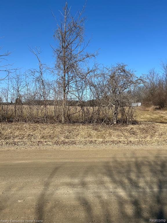 0 Jeddo Road Avoca, MI 48006 - Photo 1 of 2