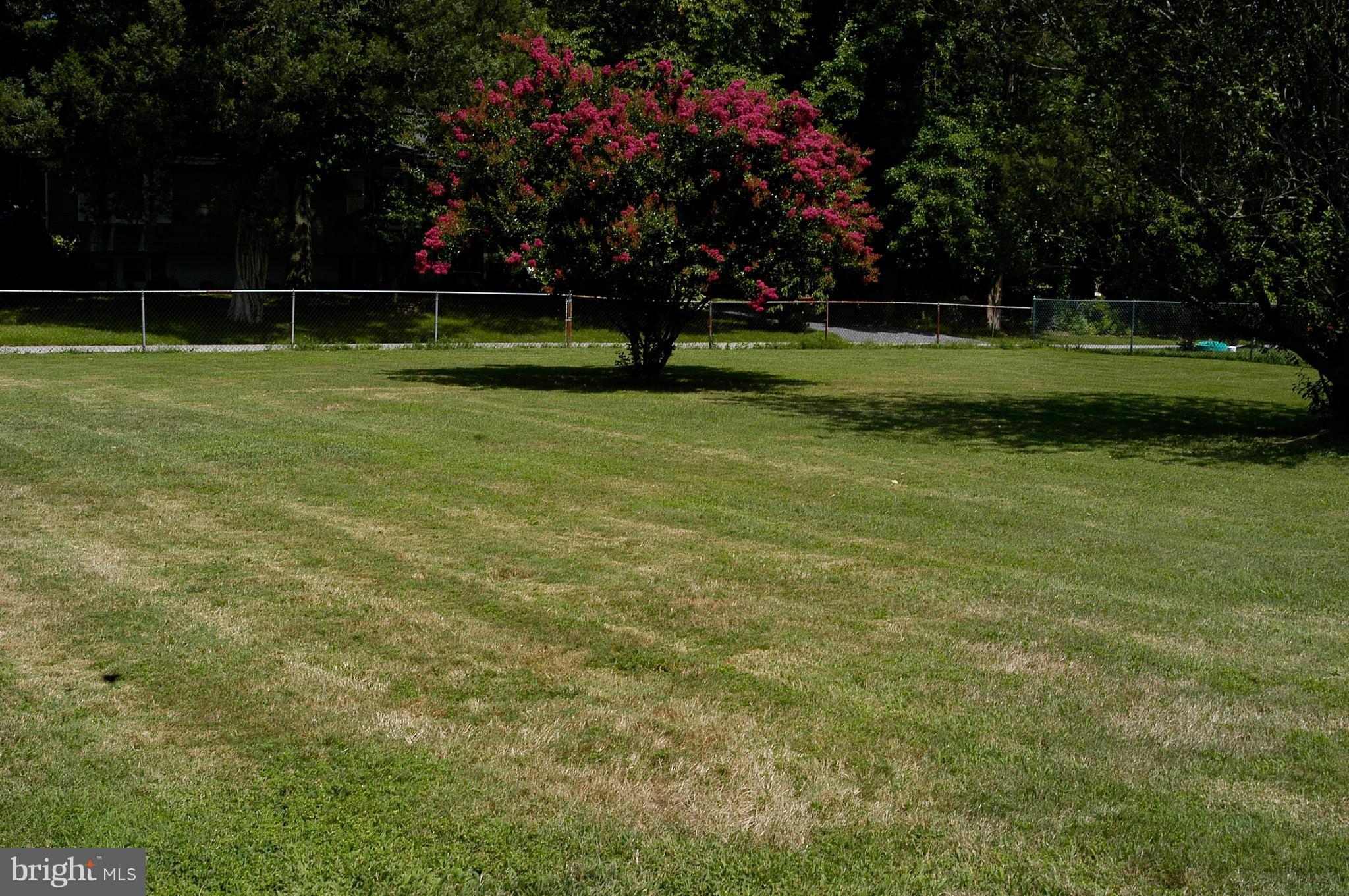 3720 2nd Avenue Edgewater, MD 21037 - Photo 23 of 30 Side Yard
