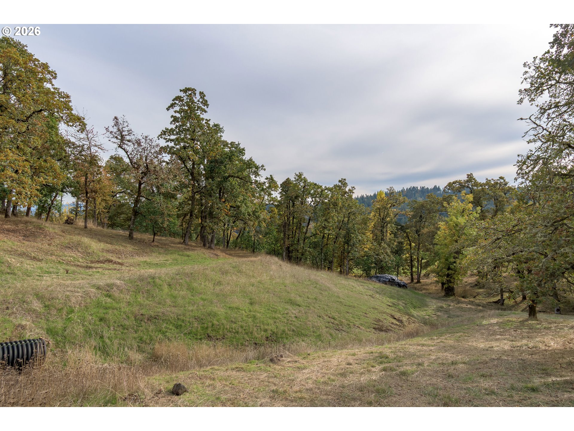 Hidden Meadows Eugene, OR 97405 - Photo 4 of 24