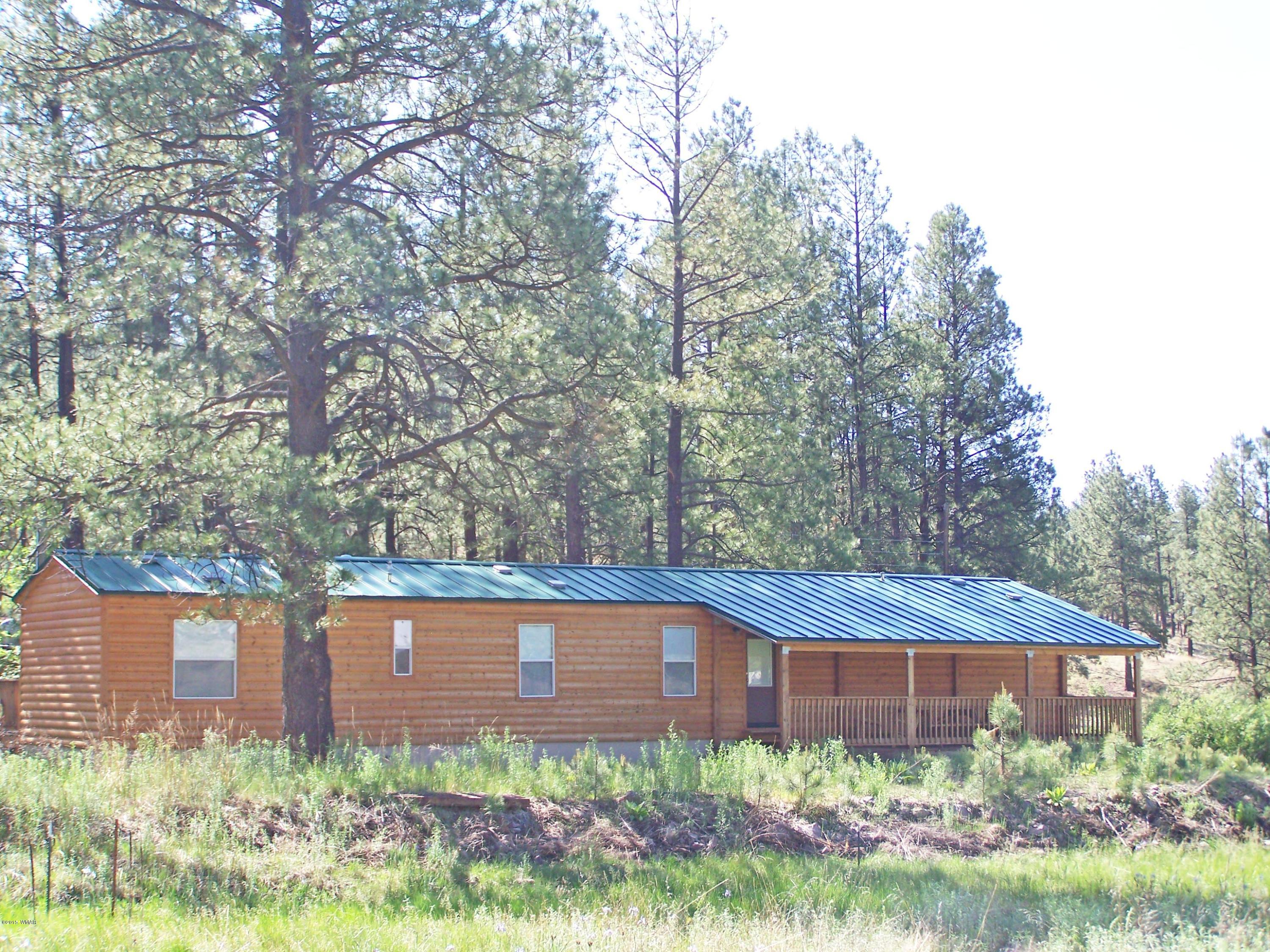 8 County Road Alpine, AZ 85920 - Photo 1 of 14