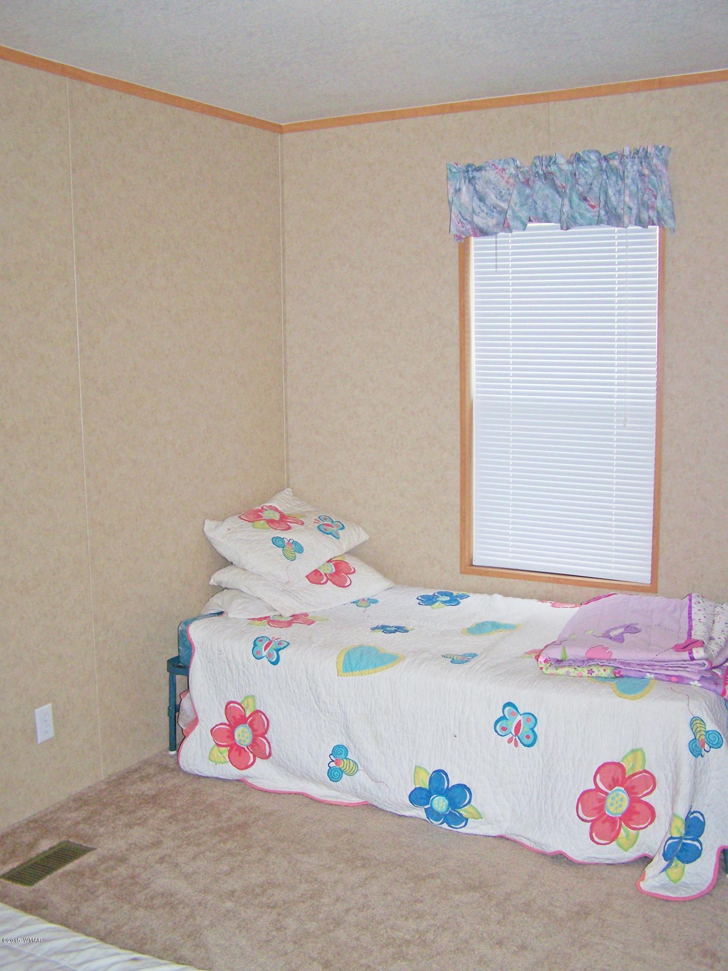 8 County Road Alpine, AZ 85920 - Photo 11 of 14