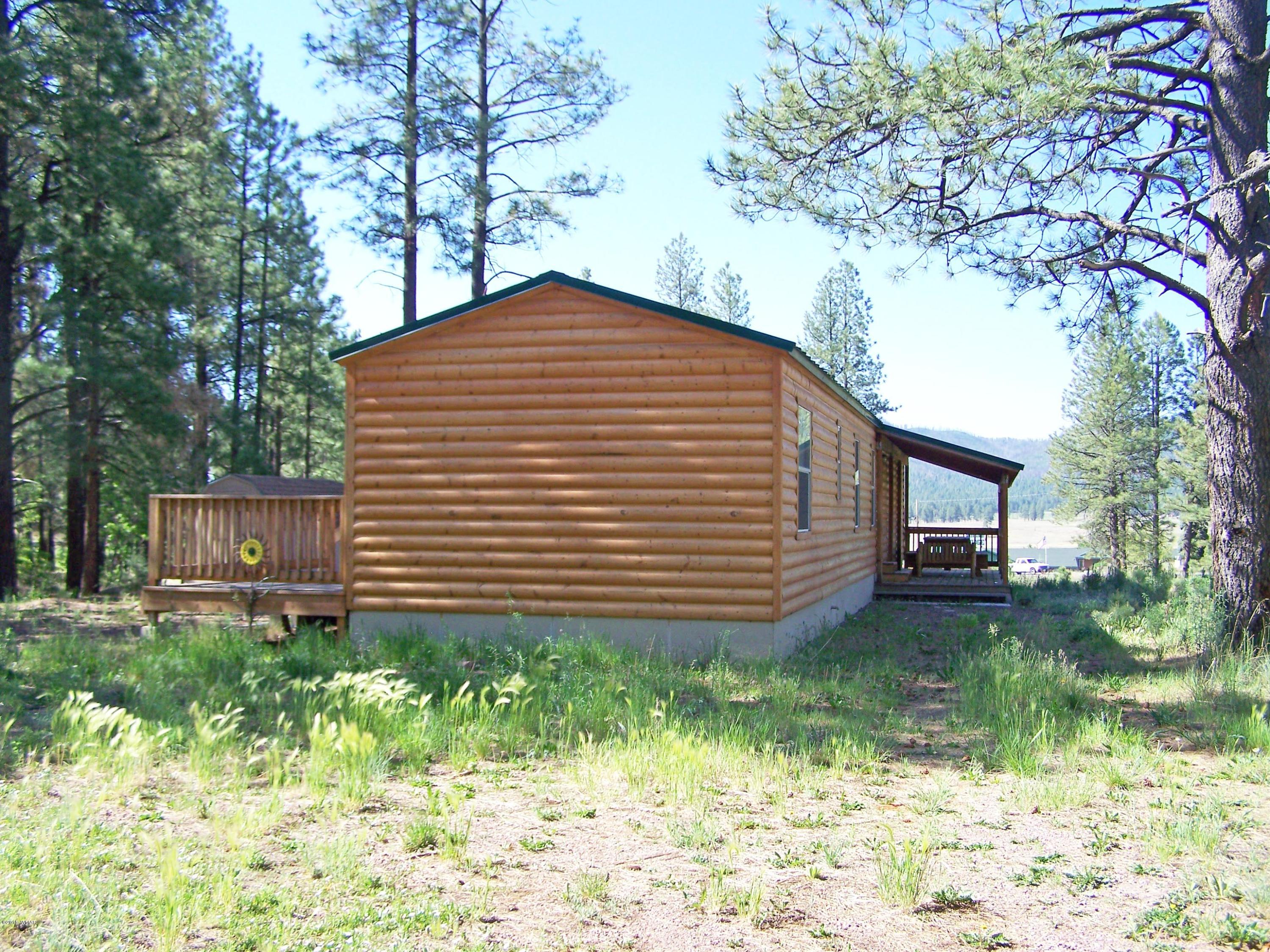 8 County Road Alpine, AZ 85920 - Photo 2 of 14