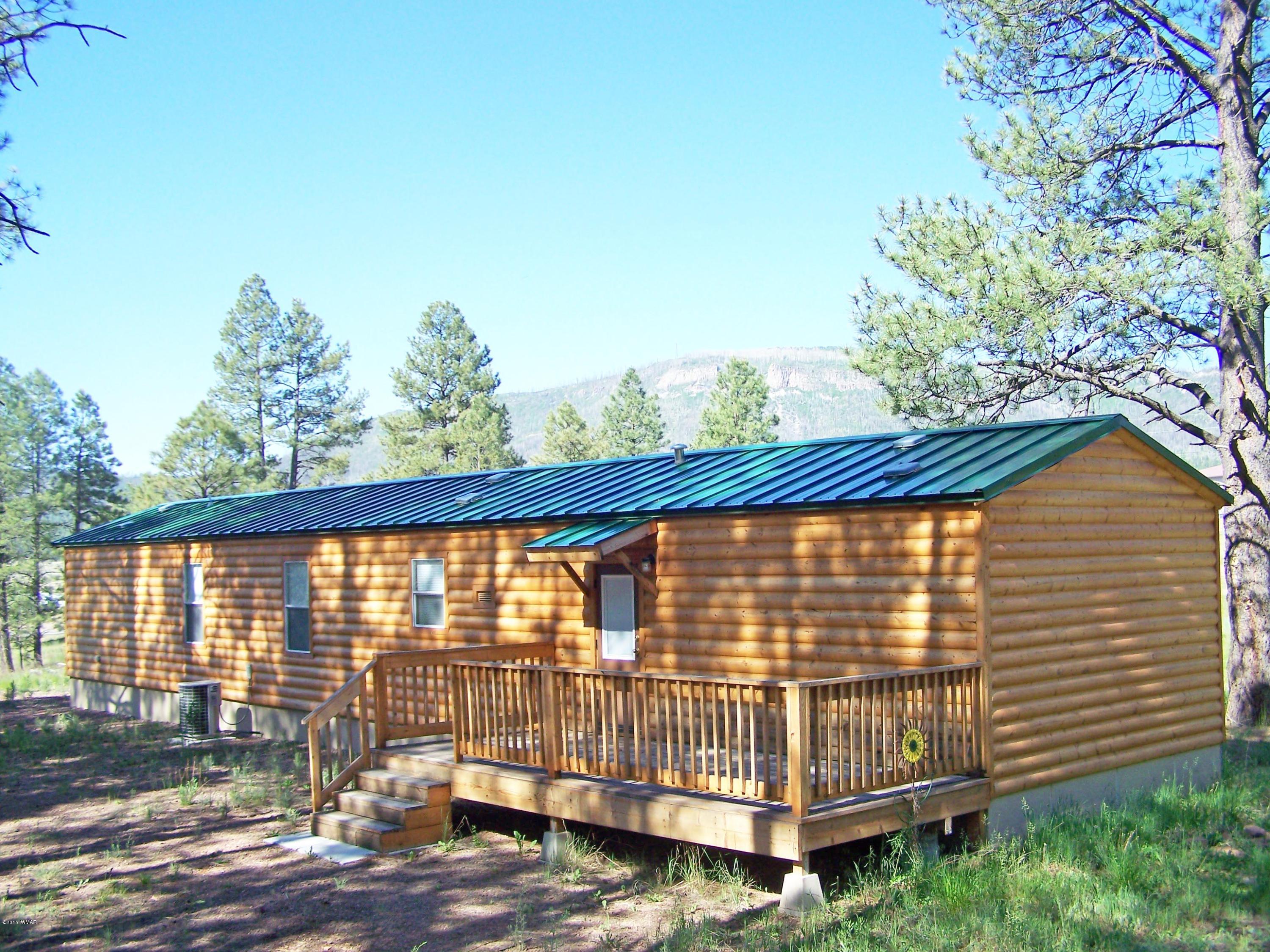 8 County Road Alpine, AZ 85920 - Photo 3 of 14