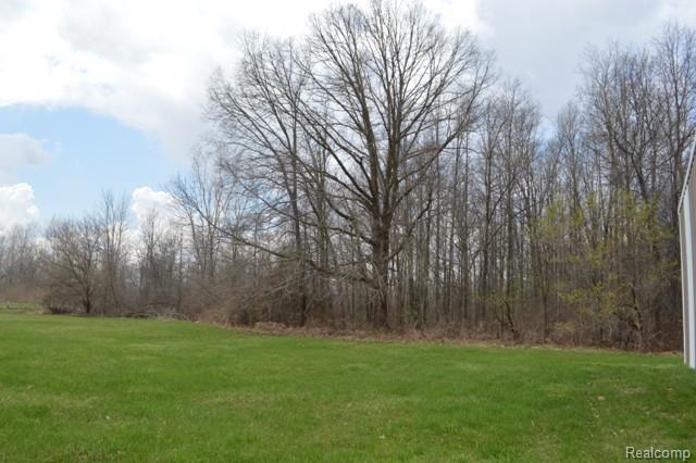 13475 Briar Hill Road Carleton, MI 48117 - Photo 2 of 4 Land View.jpg