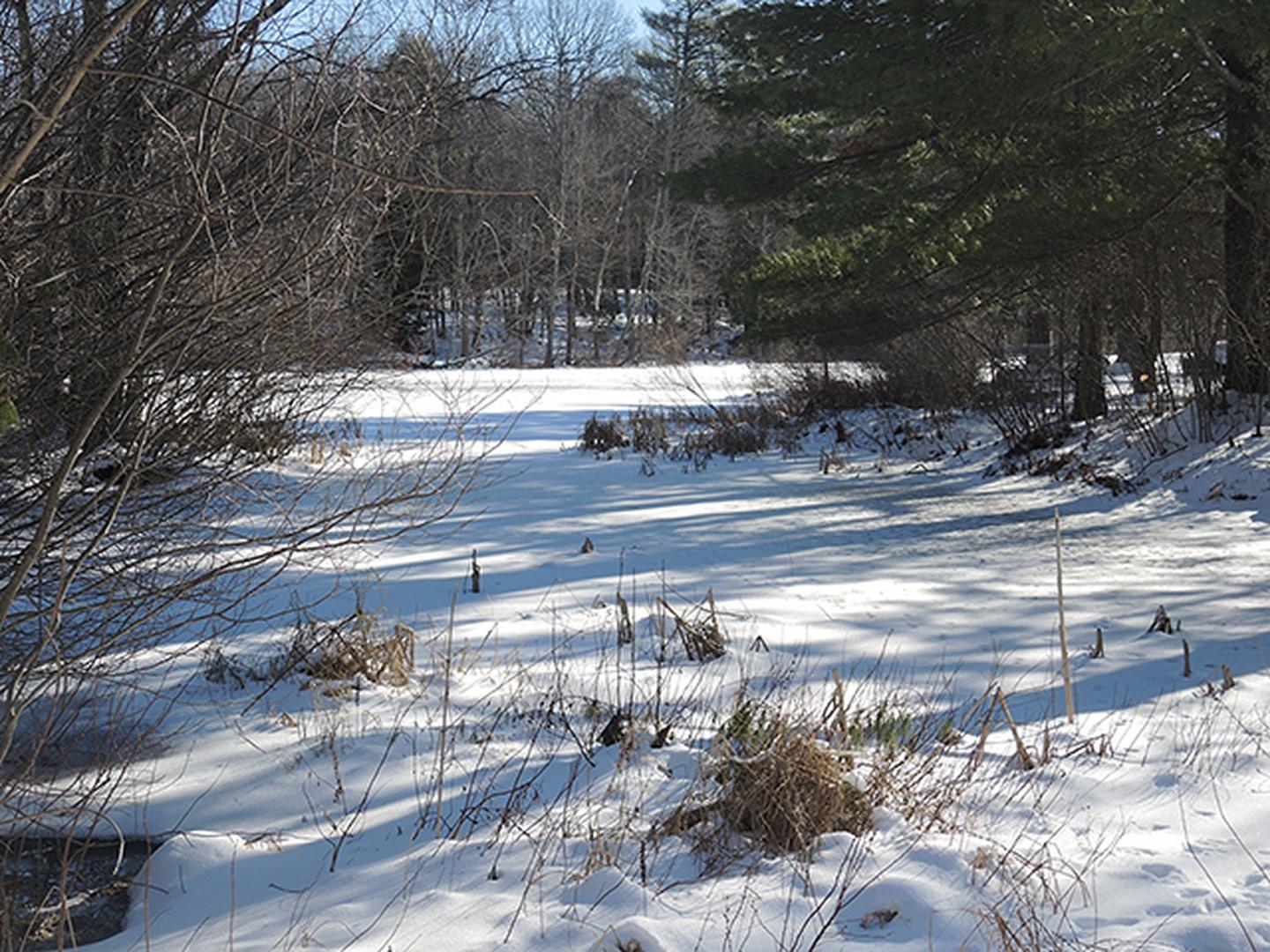 251 Roberts Shore Road Liberty, ME 04949 - Photo 33 of 33 32