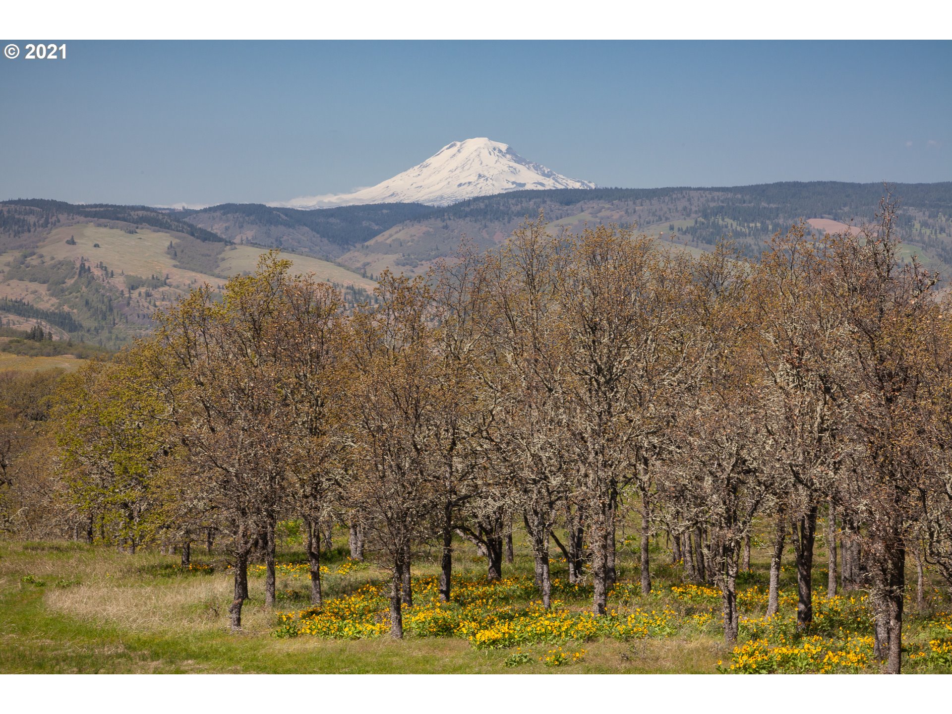 2010 State Road Mosier, OR 97040 - Photo 2 of 30 Gallery Image 2