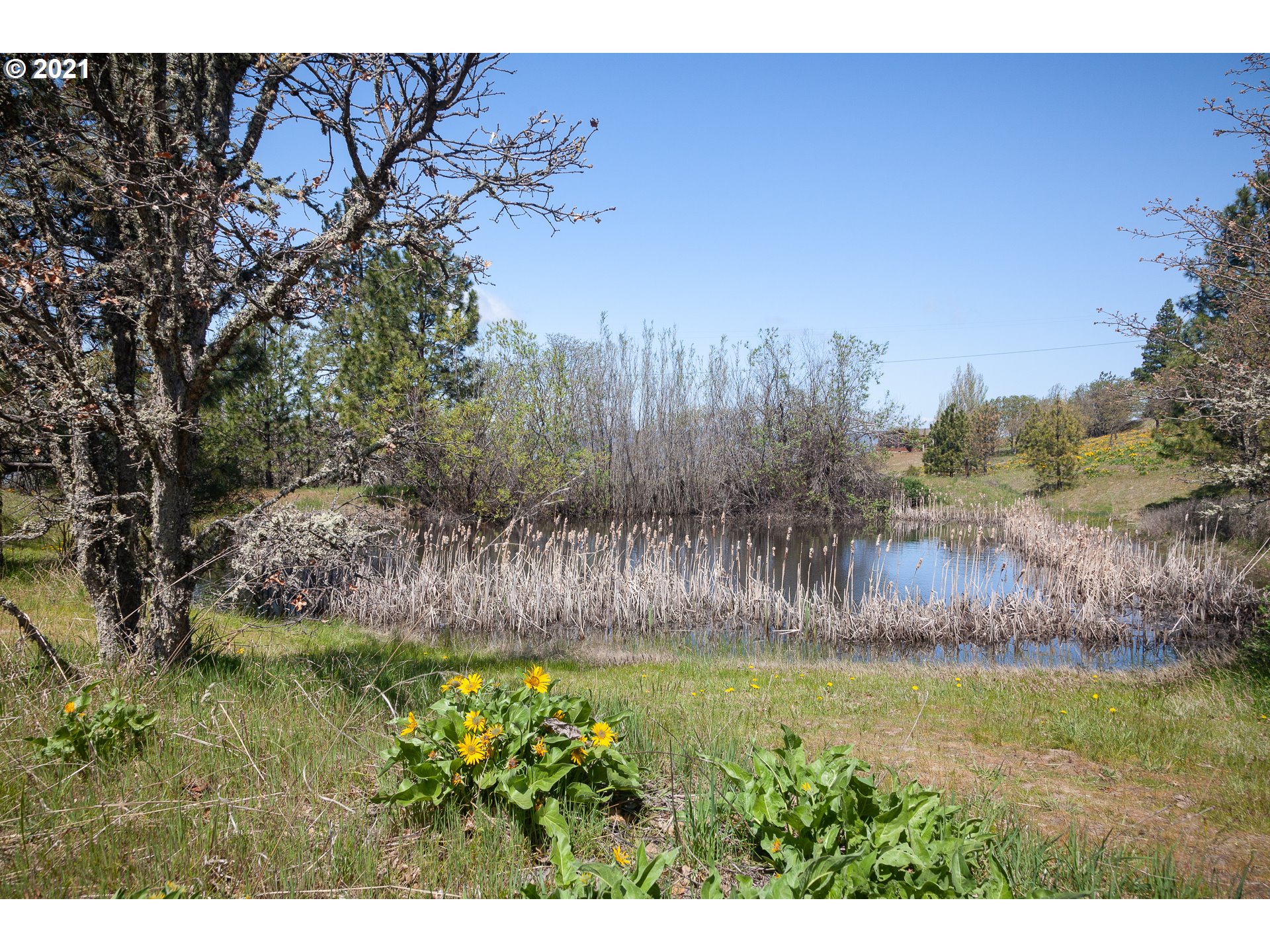 2010 State Road Mosier, OR 97040 - Photo 25 of 30 Gallery Image 25