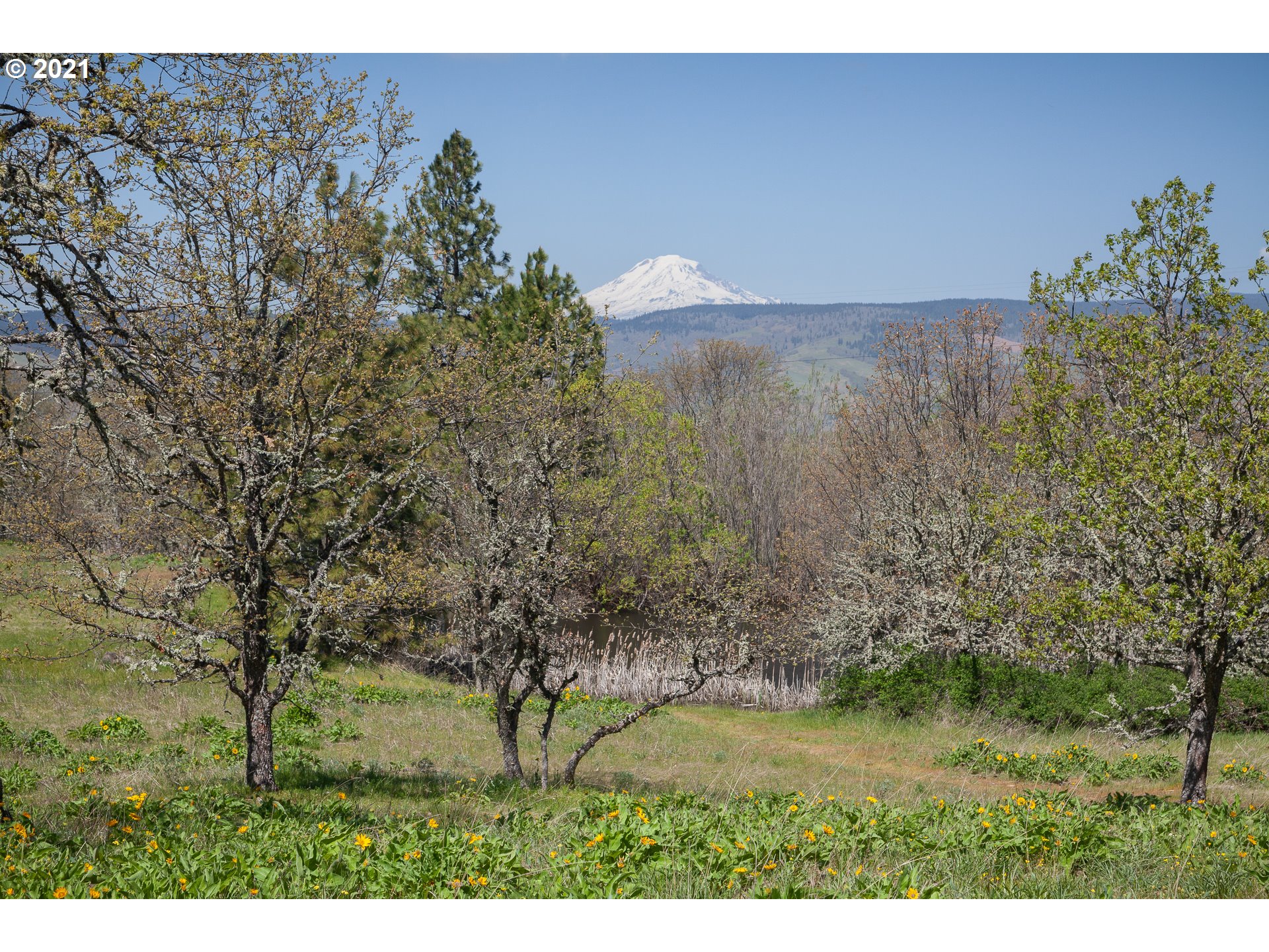 2010 State Road Mosier, OR 97040 - Photo 26 of 30 Gallery Image 26