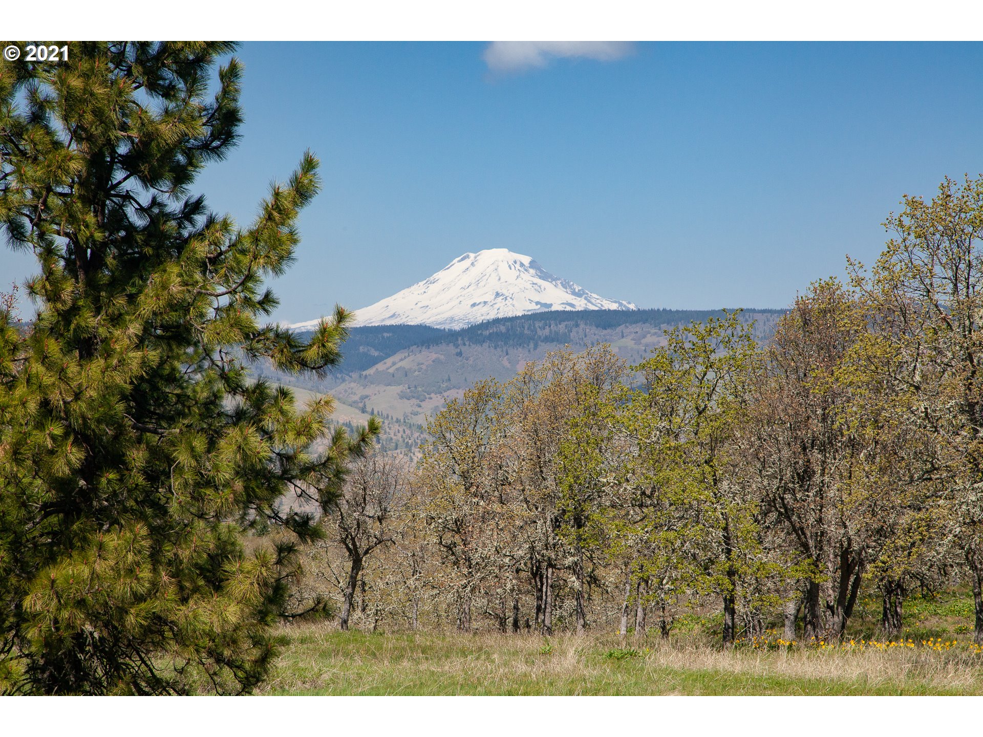2010 State Road Mosier, OR 97040 - Photo 6 of 30 Gallery Image 6