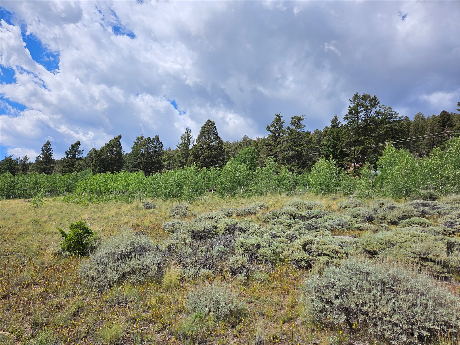 3062 Redhill Road Fairplay, CO 80440 - Photo 29 of 47 Gallery Image 29