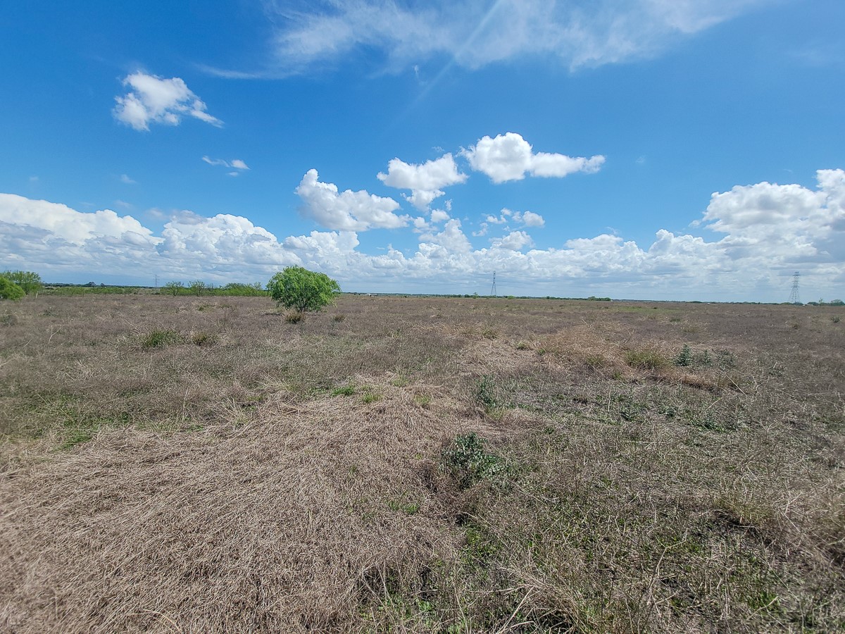 Tbd Berger Road Schulenburg, TX 78956 - Photo 6 of 10