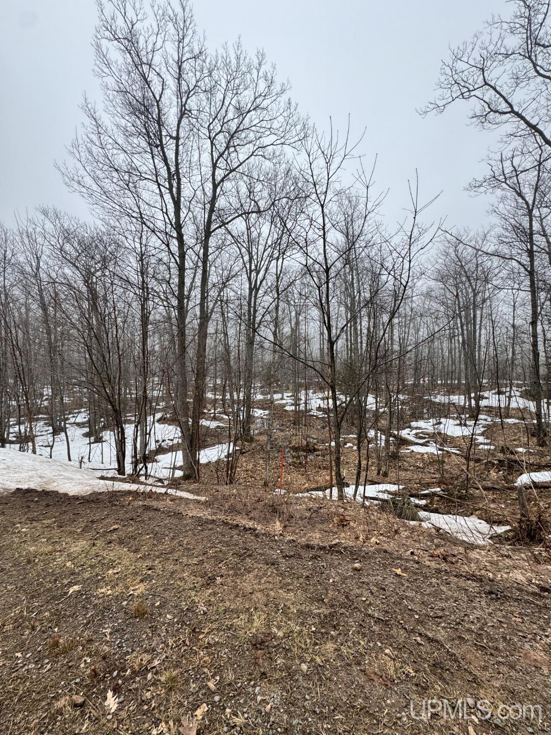 280-acres Off Pikes Peak Road Lanse, MI 49946 - Photo 3 of 21