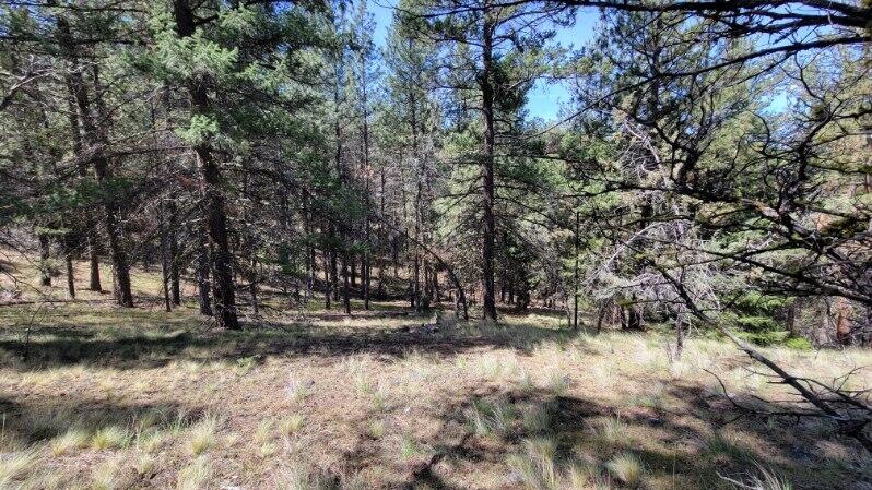 1315 Lofton Creek Road Prineville, OR 97754 - Photo 27 of 61 image000001 (3)
