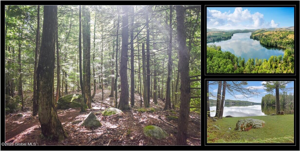 L2 Friends Lake Road Chestertown, NY 12817 - Photo 1 of 20 Friends Lake Cover