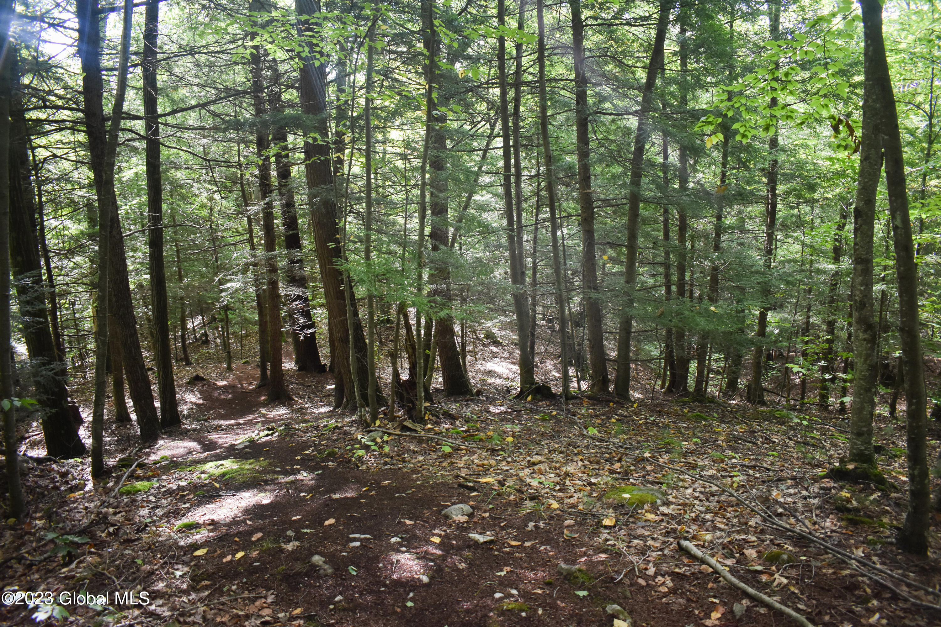 L2 Friends Lake Road Chestertown, NY 12817 - Photo 11 of 20 DSC_0207 (3)