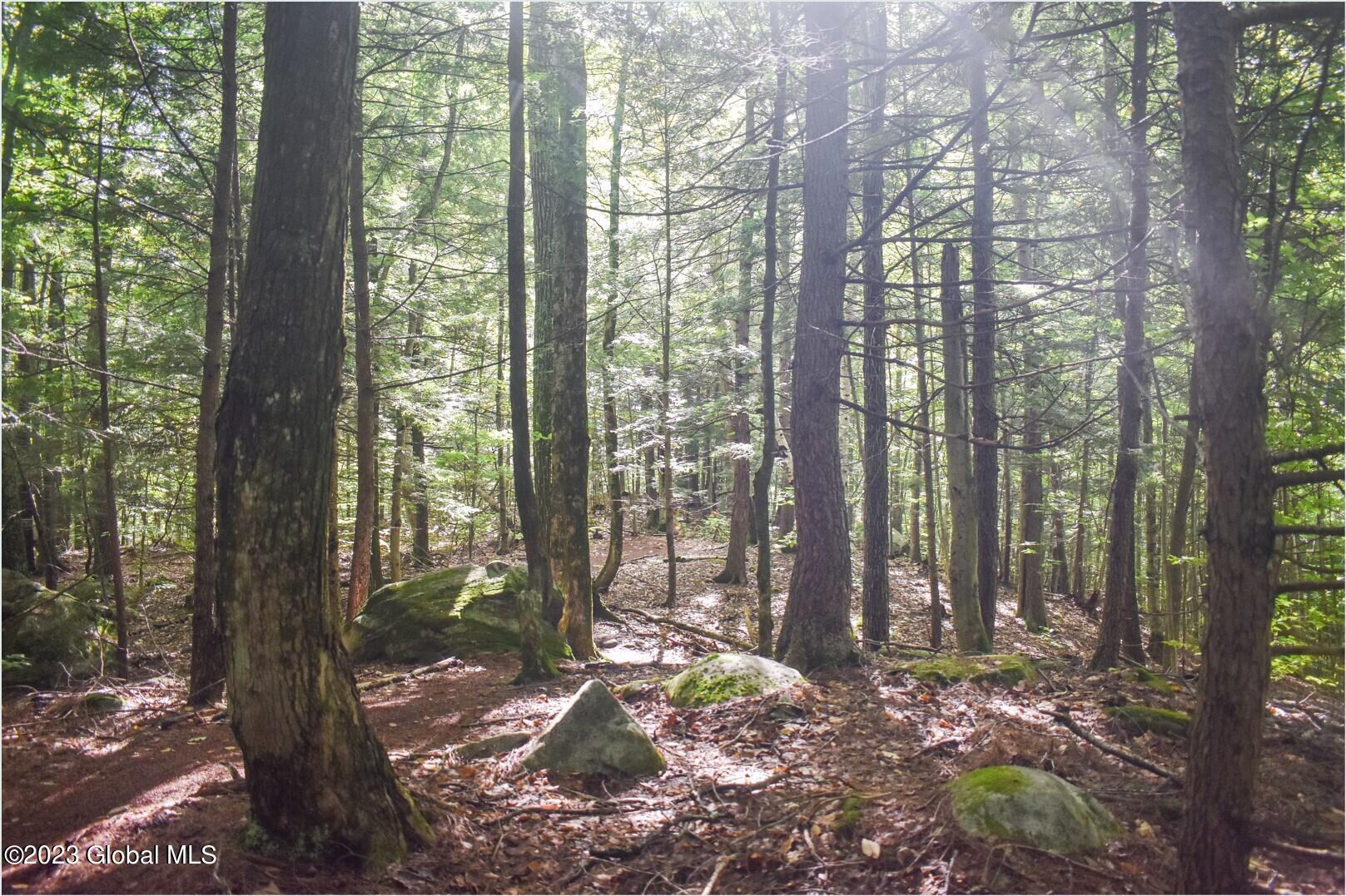 L2 Friends Lake Road Chestertown, NY 12817 - Photo 8 of 20 210