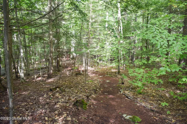 $169,500 | L2 Friends Lake Road, Chestertown, NY 12817