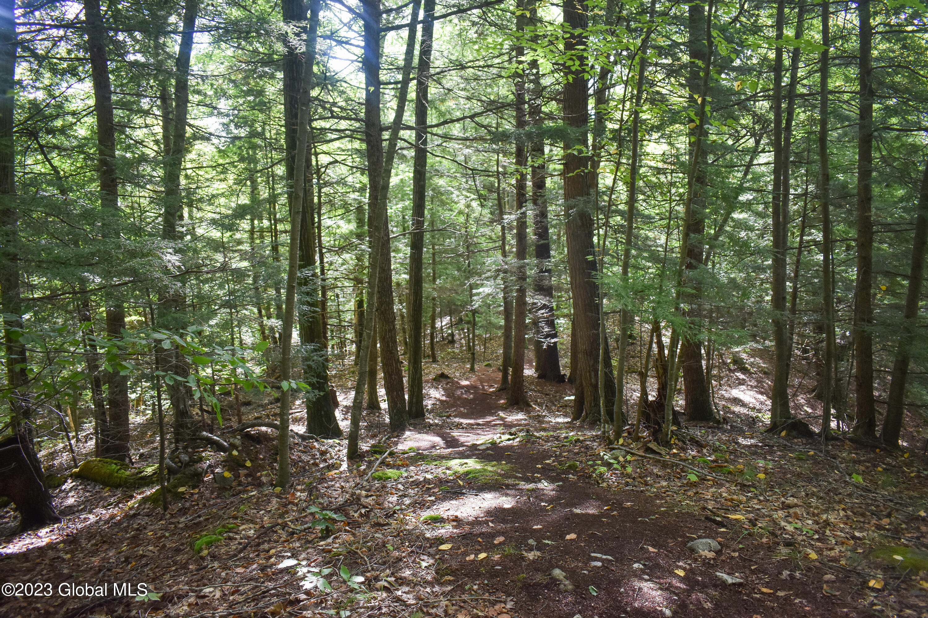 L2 Friends Lake Road Chestertown, NY 12817 - Photo 10 of 20 DSC_0206 (3)