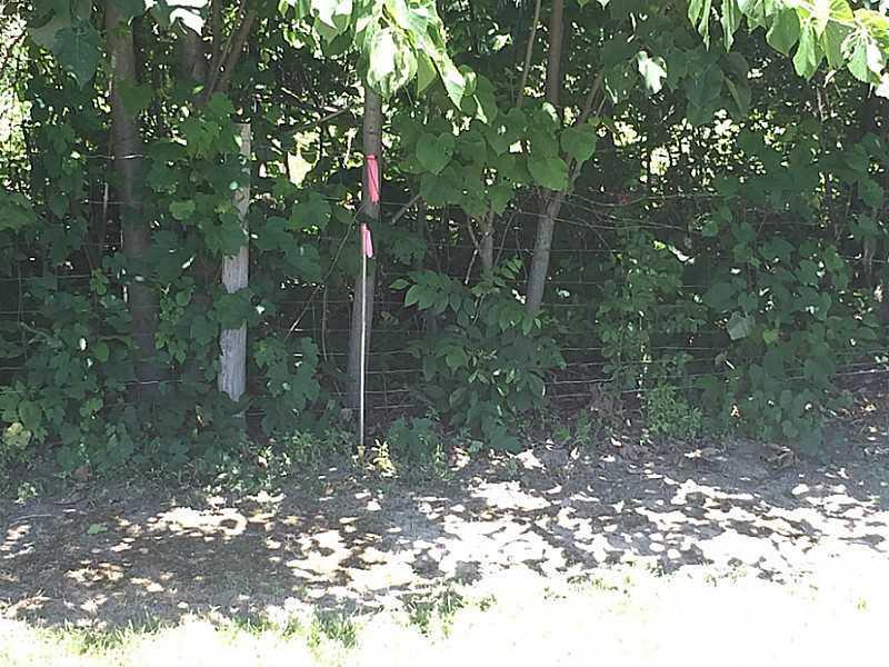 0 Shrine Road Springfield, OH 45504 - Photo 4 of 11