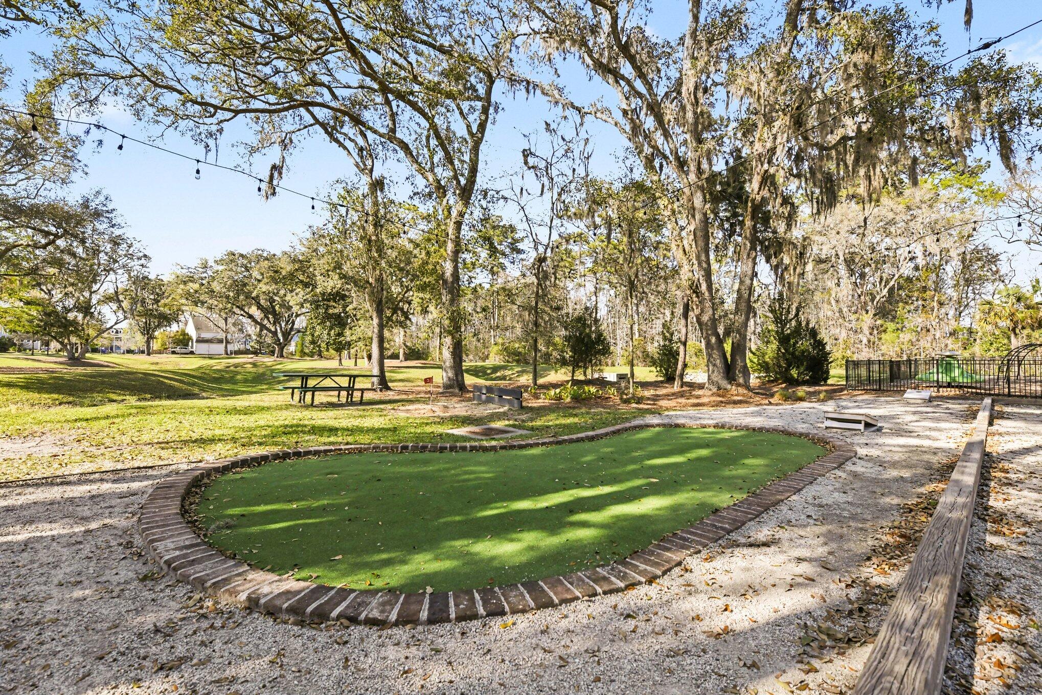 2126 Colson Lane Johns Island, SC 29455 - Photo 55 of 59 Putting Green