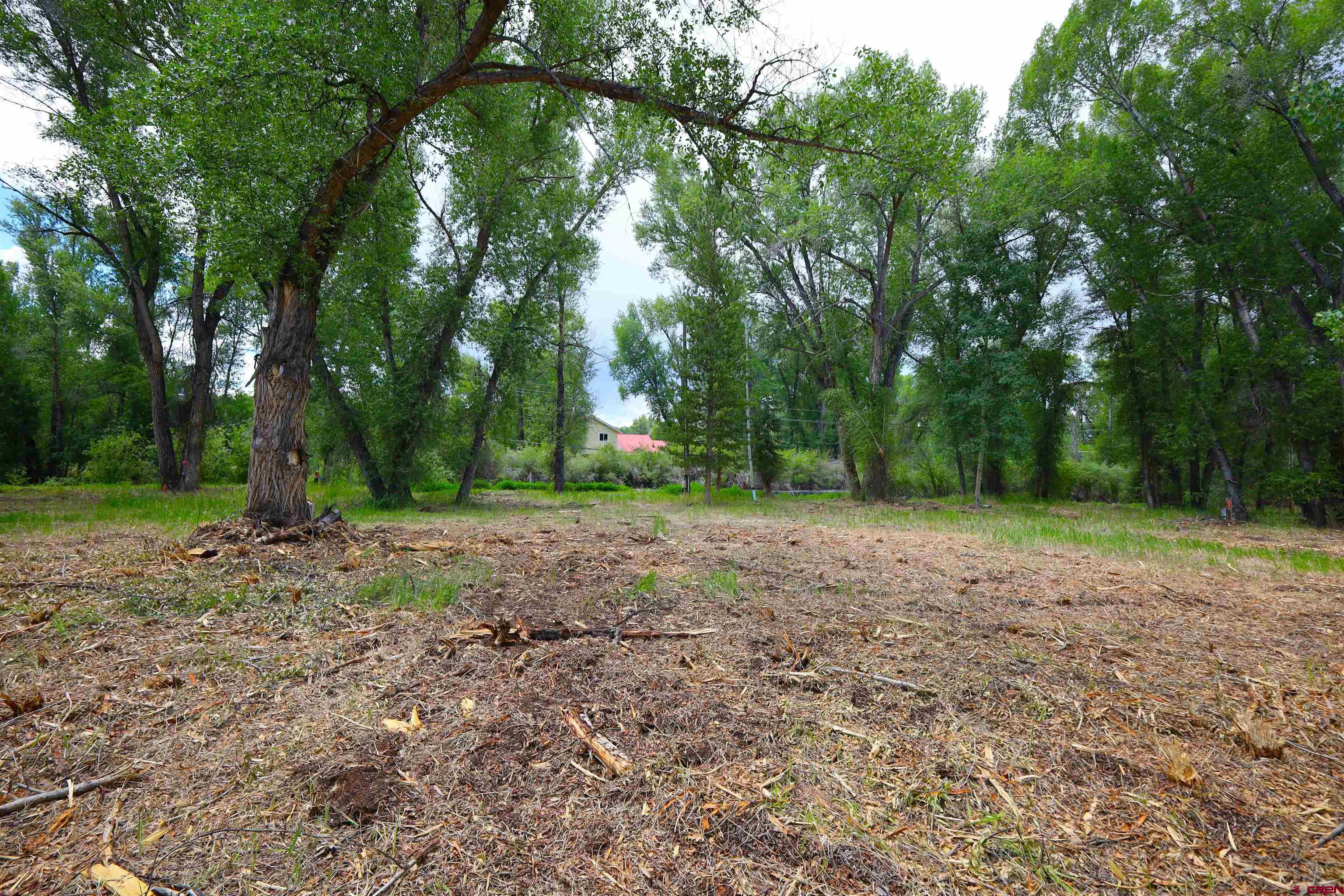 Tbd Rio Vista Road Gunnison, CO 81230 - Photo 20 of 43