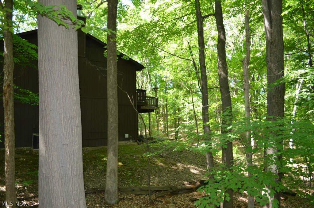 12187 Windcliff Road Strongsville, OH 44136 - Photo 20 of 21 Gallery Image 20